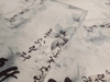 RPET75D matt satin with digital printed pattern polyester fabric
