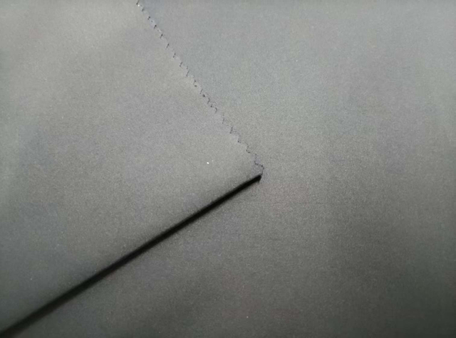 Biodegradable Polyester Pongee