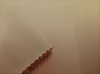 75D Full Twist Solana Cavalry Twill polyester fabric