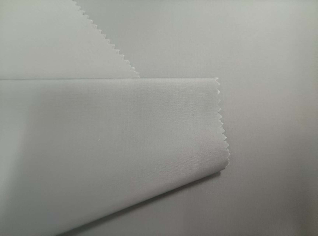 300T Carbon Capture with 0.2 grid Division polyester fabric