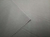 40D Dull finished Dense Nylon fabric Taslon