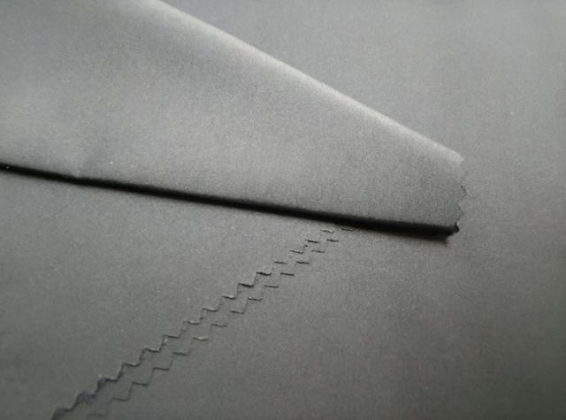 Biodegradable Polyester Pongee
