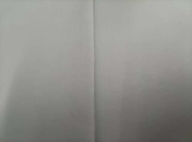 300T Carbon Capture with 0.2 grid Division polyester fabric